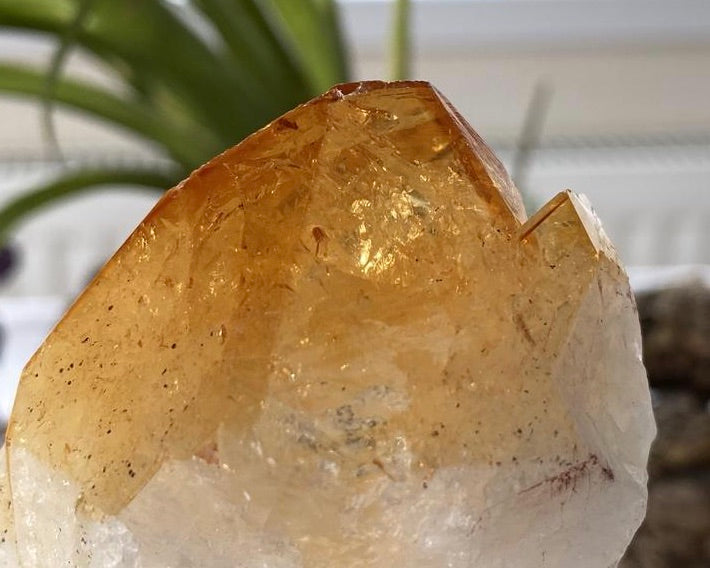 Brighten The Day With Citrine!  Bring happiness and boost your energy!